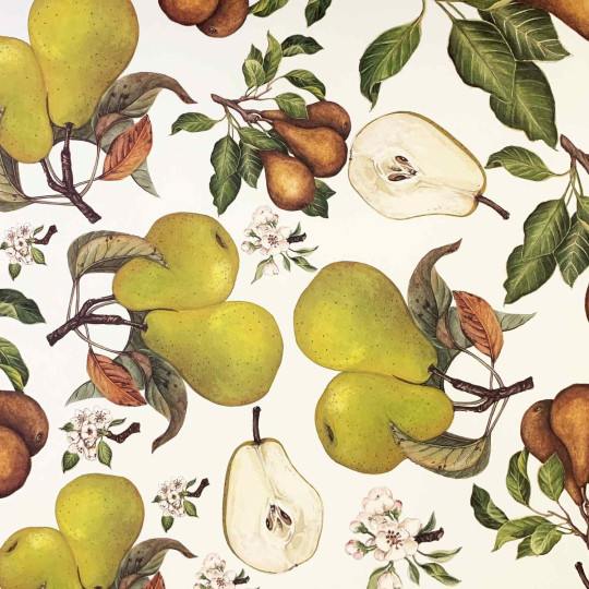 Large Pears Fruit Print Paper ~ Tassotti Italy